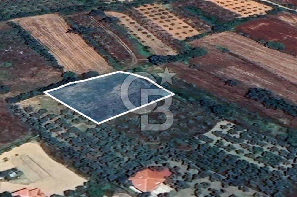 Muğla Menteşe Akkaya Satılık 1453 m² Tarla 