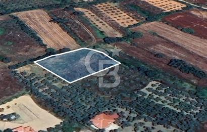 Muğla Menteşe Akkaya Satılık 1453 m² Tarla 