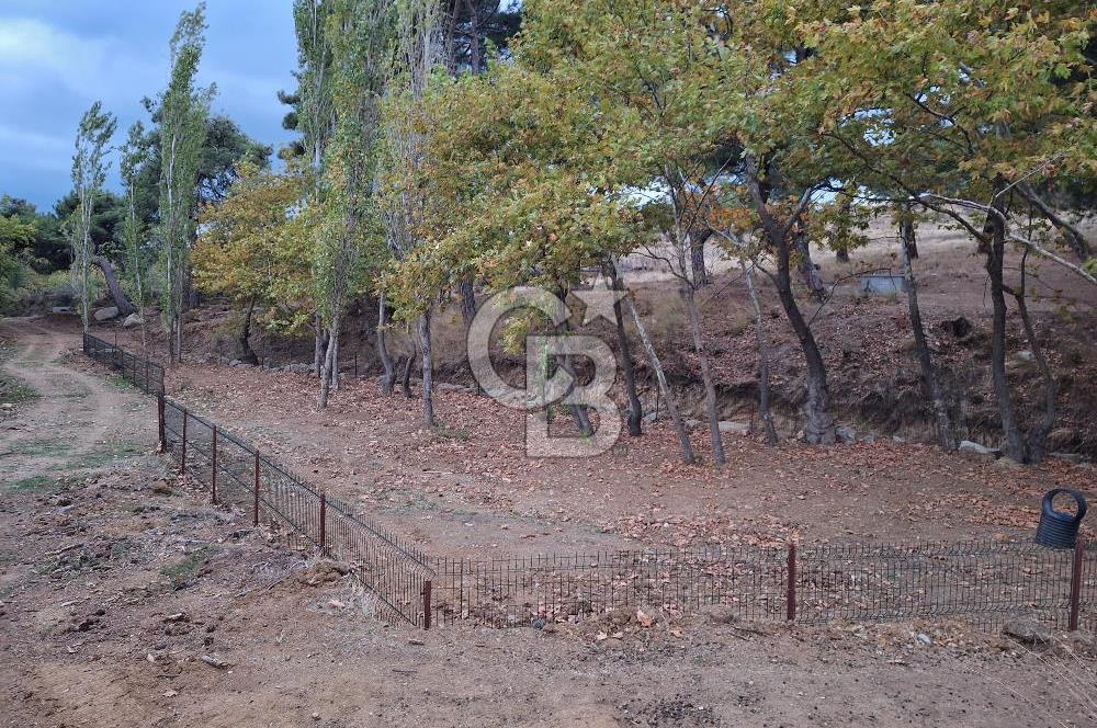 ÇANAKKALE BAYRAMİÇ KARINCALIK KÖYÜ 500 M2 TARLA