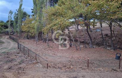 ÇANAKKALE BAYRAMİÇ KARINCALIK KÖYÜ 500 M2 TARLA