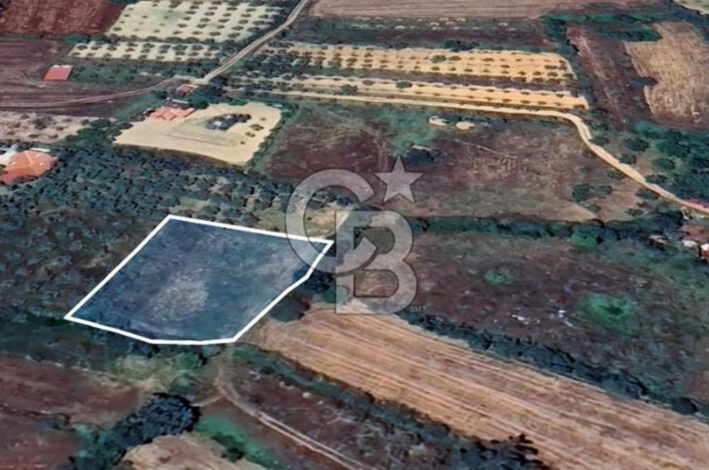 Muğla Menteşe Akkaya Satılık 1453 m² Tarla 