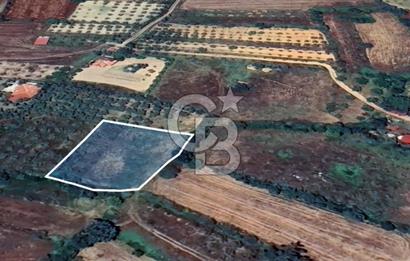 Muğla Menteşe Akkaya Satılık 1453 m² Tarla 