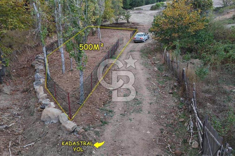 ÇANAKKALE BAYRAMİÇ KARINCALIK KÖYÜ 500 M2 TARLA