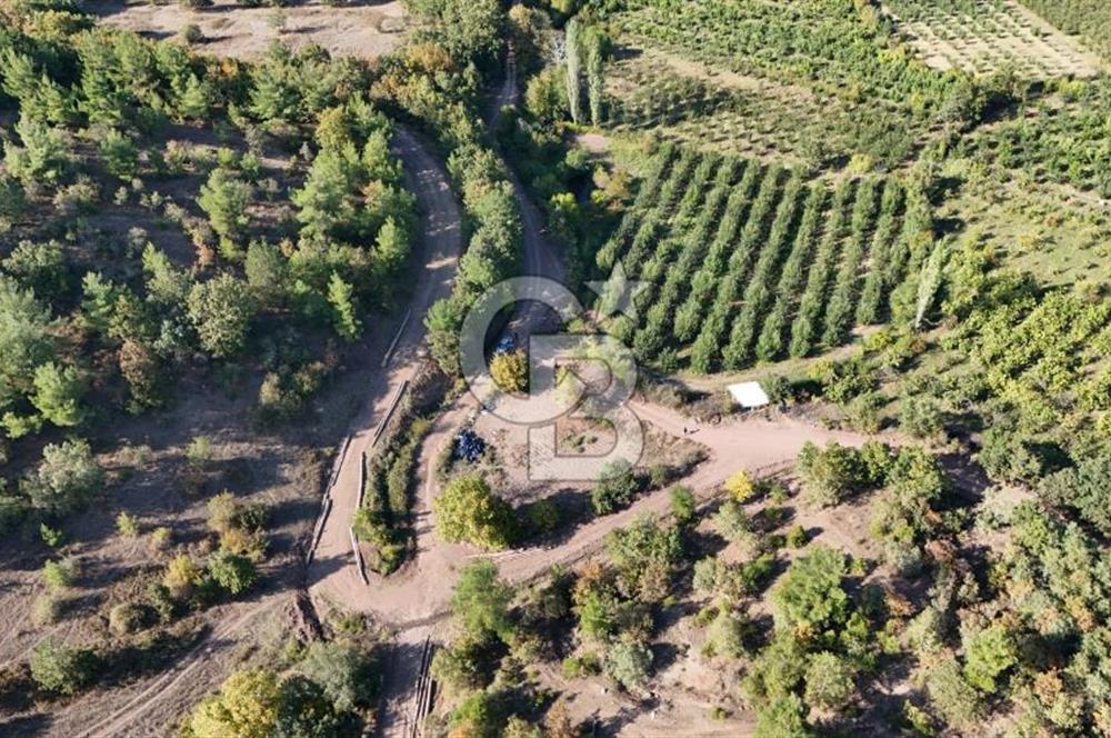 ÇANAKKALE BAYRAMİÇ KARAKÖY DE SATILIK 460 M2 FIRSAT BAHÇE