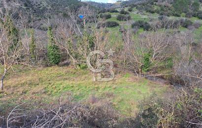 Bayramiç Toluklar'da Akarsu Kenarında Satılık 4.351 m² Bahçe