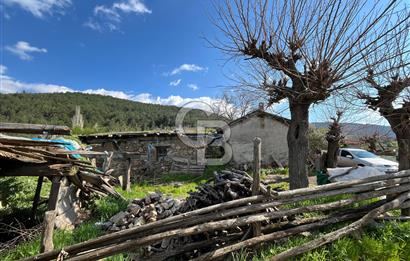 Bayramiç Toluklar Köyü’nde Satılık Bahçeli Kargir Ev