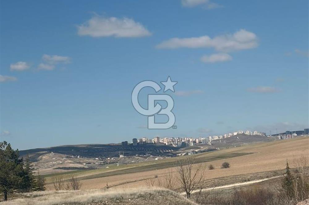 Ballıkuyumcu'da Özel Satılık 7 + 2 Müstakil Villa