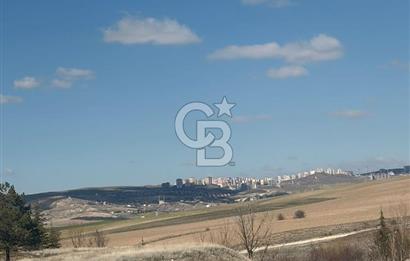 Ballıkuyumcu'da Özel Satılık 7 + 2 Müstakil Villa