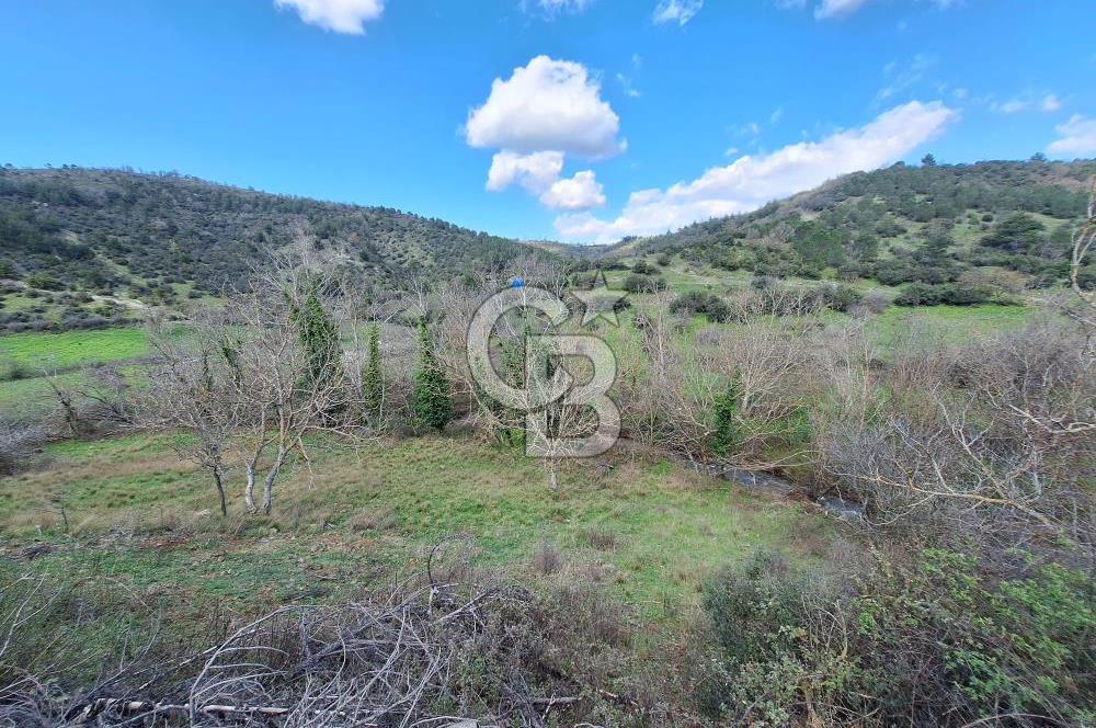 Bayramiç Toluklar'da Akarsu Kenarında Satılık 4.351 m² Bahçe