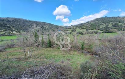 Bayramiç Toluklar'da Akarsu Kenarında Satılık 4.351 m² Bahçe