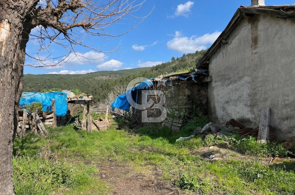 Bayramiç Toluklar Köyü’nde Satılık Bahçeli Kargir Ev