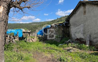 Bayramiç Toluklar Köyü’nde Satılık Bahçeli Kargir Ev