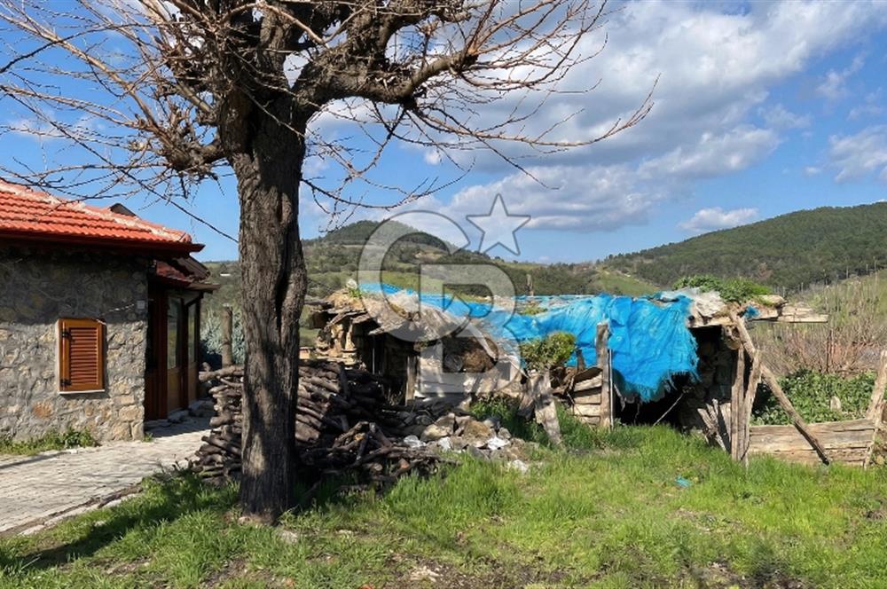 Bayramiç Toluklar Köyü’nde Satılık Bahçeli Kargir Ev