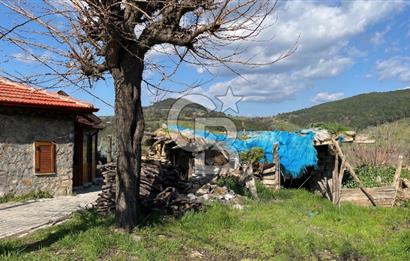 Bayramiç Toluklar Köyü’nde Satılık Bahçeli Kargir Ev