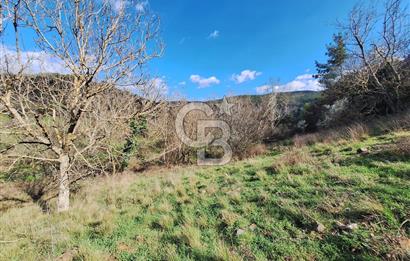 Bayramiç Toluklar'da Akarsu Kenarında Satılık 4.351 m² Bahçe