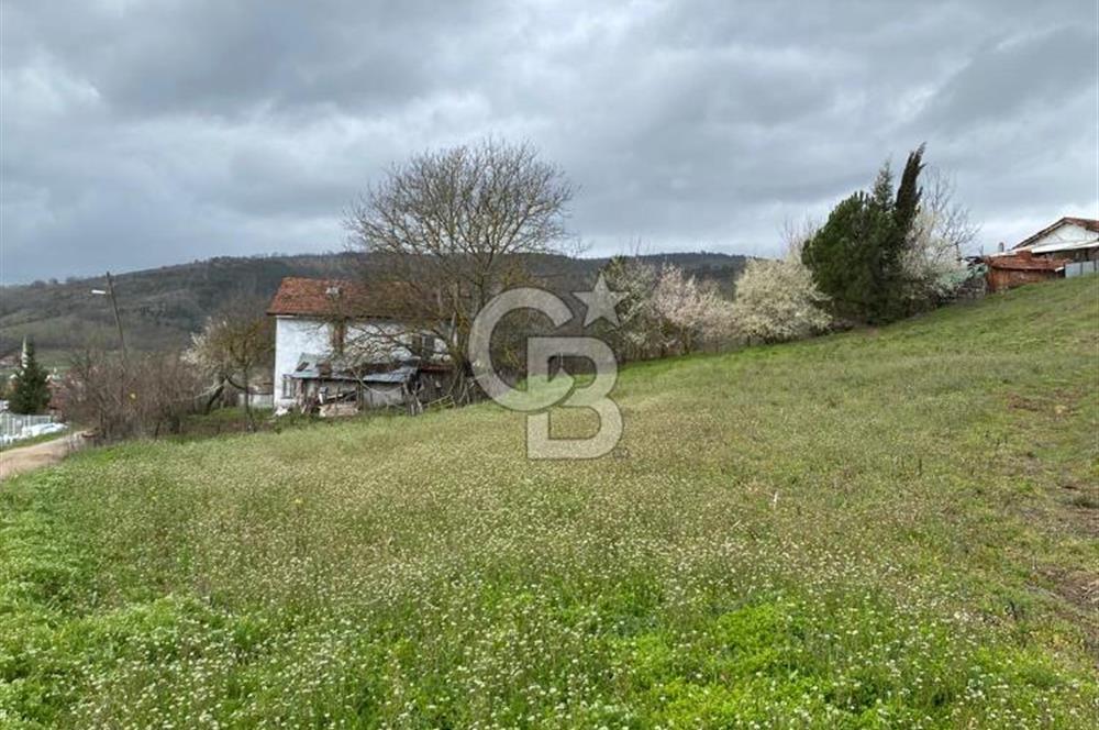 CB LEADER DAN SATILIK TARLA VE ARSA