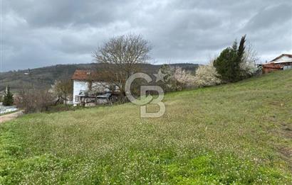 CB LEADER DAN SATILIK TARLA VE ARSA