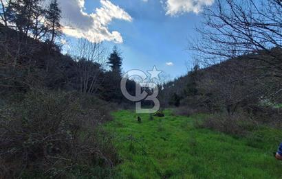 Bayramiç Toluklar'da Akarsu Kenarında Satılık 4.351 m² Bahçe