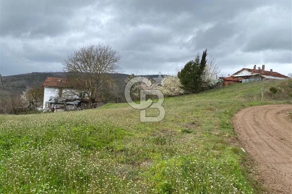 CB LEADER DAN SATILIK TARLA VE ARSA