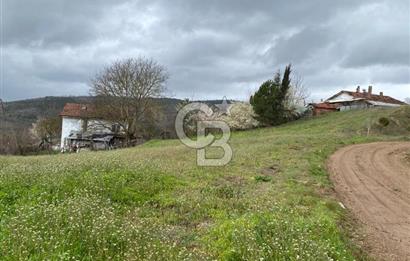 CB LEADER DAN SATILIK TARLA VE ARSA