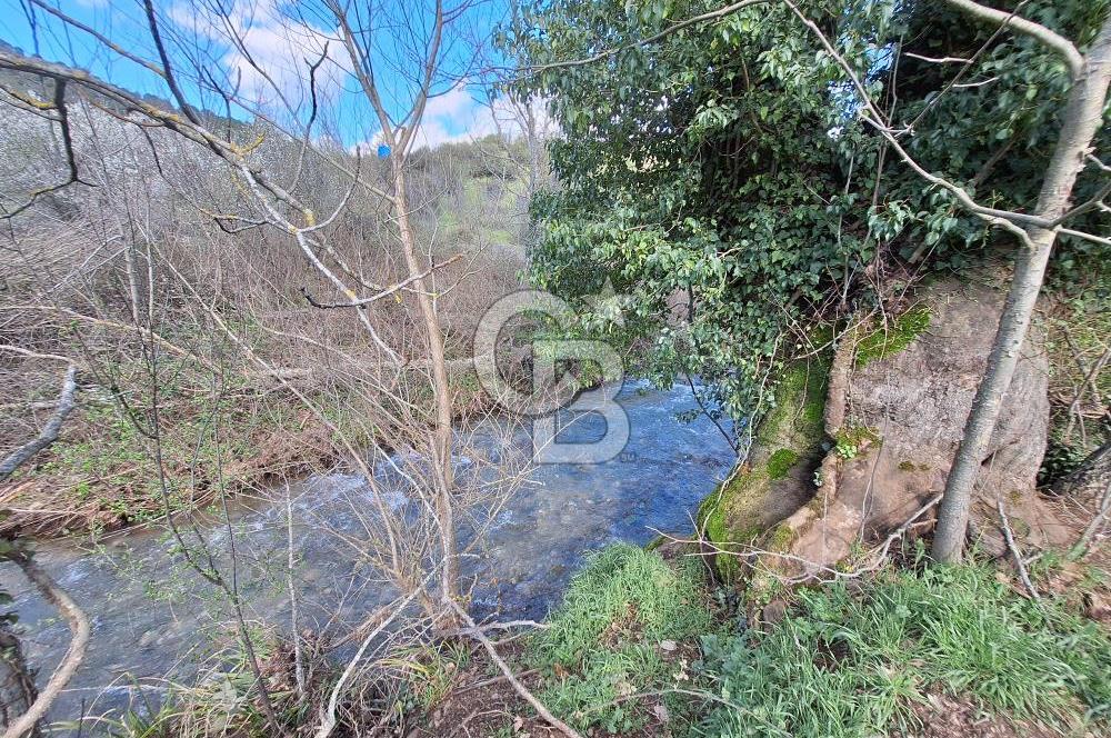 Bayramiç Toluklar'da Akarsu Kenarında Satılık 4.351 m² Bahçe