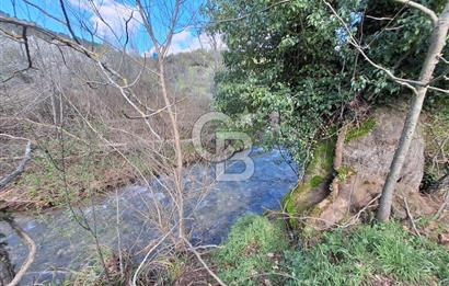 Bayramiç Toluklar'da Akarsu Kenarında Satılık 4.351 m² Bahçe