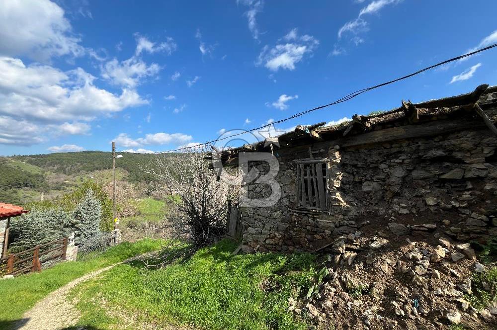Bayramiç Toluklar Köyü’nde Satılık Bahçeli Kargir Ev