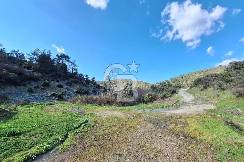 Bayramiç Toluklar'da Akarsu Kenarında Satılık 4.351 m² Bahçe