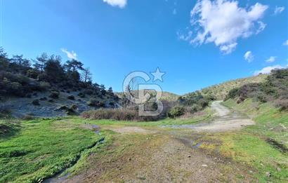 Bayramiç Toluklar'da Akarsu Kenarında Satılık 4.351 m² Bahçe