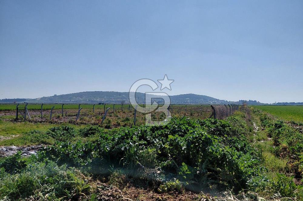 Foça Gerenköy’de Yola Yakın Merkezi Konumda Satılık Parsel
