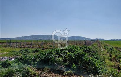 Foça Gerenköy’de Yola Yakın Merkezi Konumda Satılık Parsel