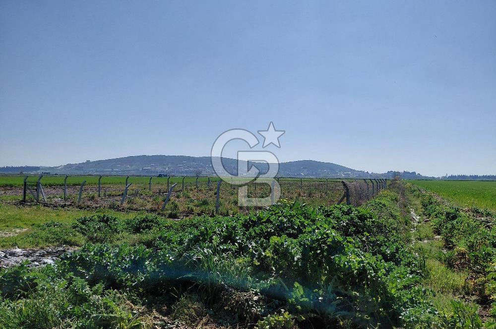 Foça Gerenköy’de Yola Yakın Merkezi Konumda Satılık Parsel