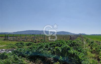 Foça Gerenköy’de Yola Yakın Merkezi Konumda Satılık Parsel
