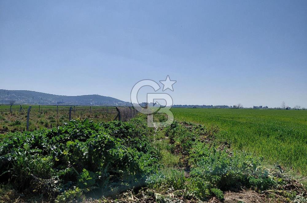 Foça Gerenköy’de Yola Yakın Merkezi Konumda Satılık Parsel