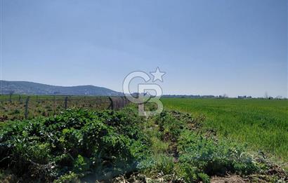 Foça Gerenköy’de Yola Yakın Merkezi Konumda Satılık Parsel