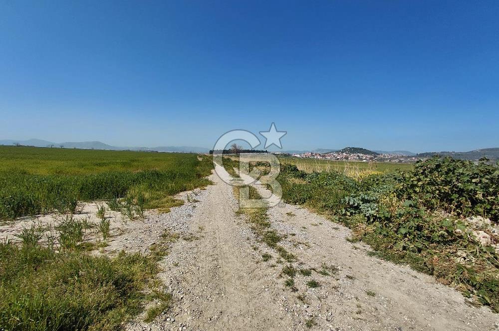 Foça Gerenköy’de Yola Yakın Merkezi Konumda Satılık Parsel