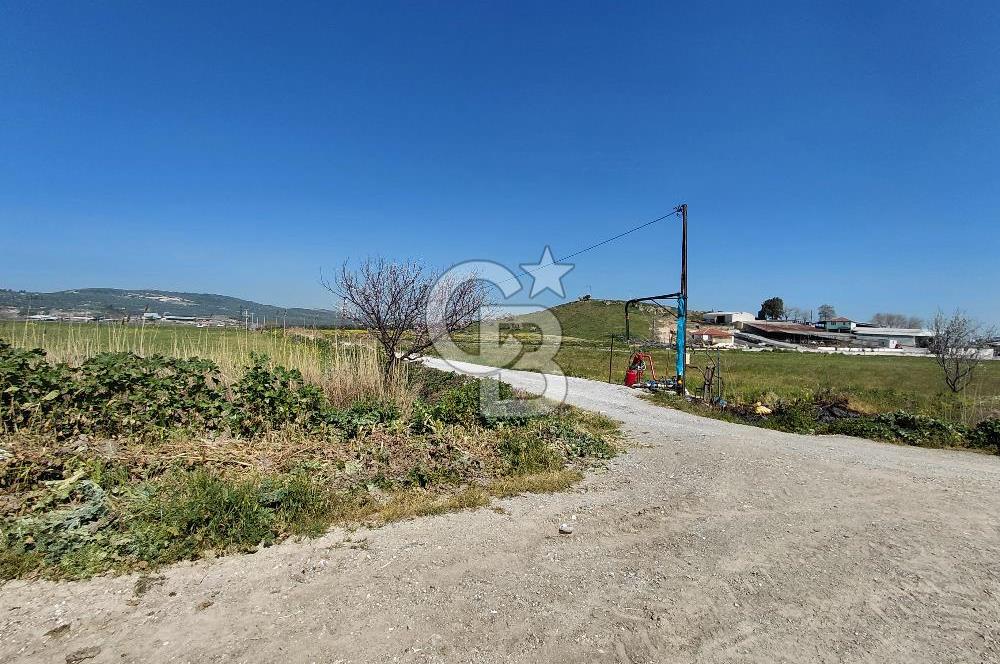 Foça Gerenköy’de Yola Yakın Merkezi Konumda Satılık Parsel