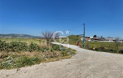 Foça Gerenköy’de Yola Yakın Merkezi Konumda Satılık Parsel