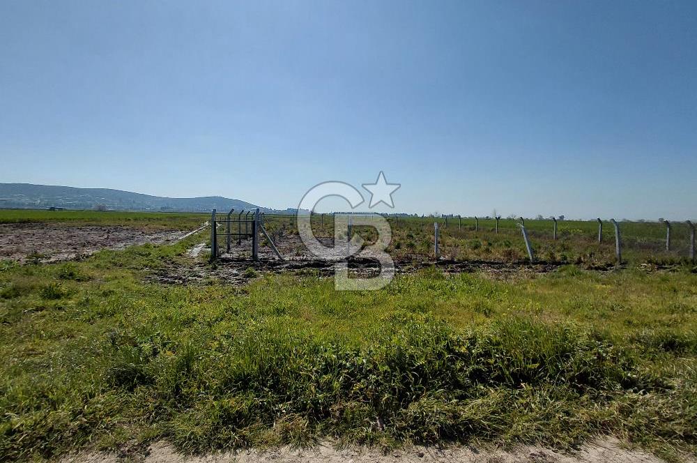 Foça Gerenköy’de Yola Yakın Merkezi Konumda Satılık Parsel