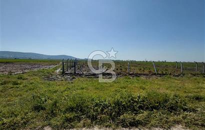 Foça Gerenköy’de Yola Yakın Merkezi Konumda Satılık Parsel