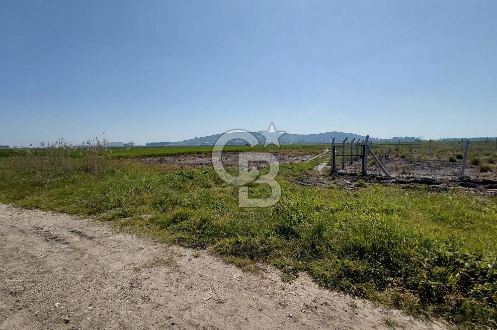 Foça Gerenköy’de Yola Yakın Merkezi Konumda Satılık Parsel