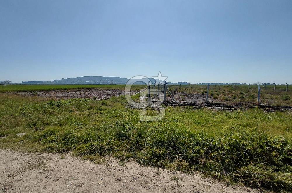 Foça Gerenköy’de Yola Yakın Merkezi Konumda Satılık Parsel