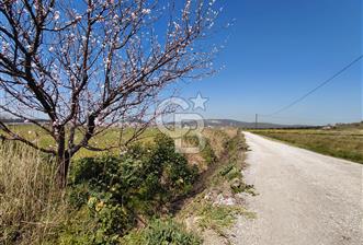 Foça Gerenköy’de Yola Yakın Merkezi Konumda Satılık Parsel - 4 - 343022