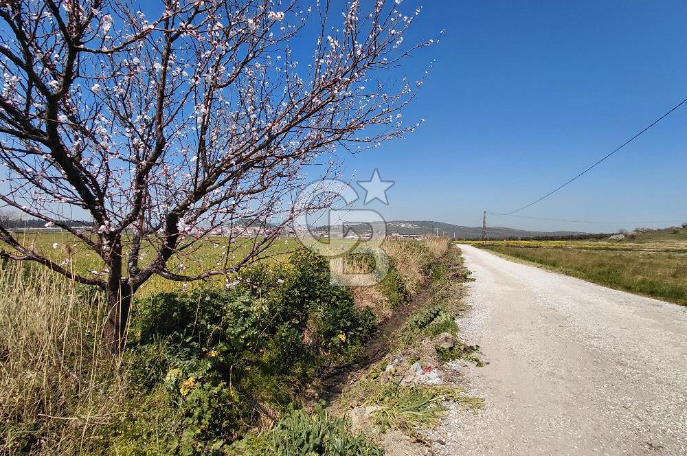 Foça Gerenköy’de Yola Yakın Merkezi Konumda Satılık Parsel