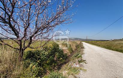 Foça Gerenköy’de Yola Yakın Merkezi Konumda Satılık Parsel