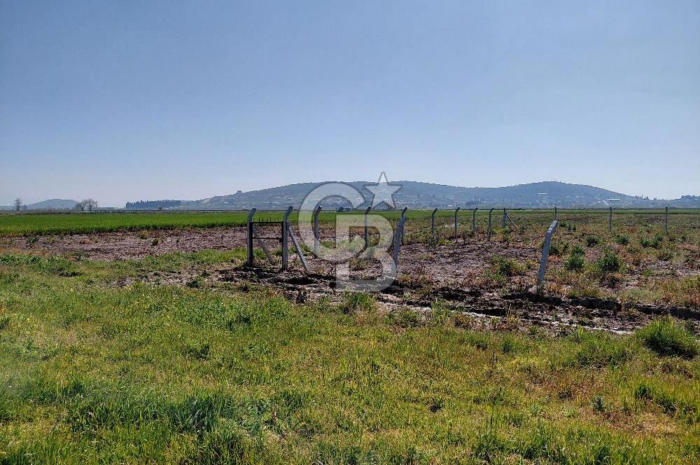 Foça Gerenköy’de Yola Yakın Merkezi Konumda Satılık Parsel