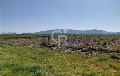 Foça Gerenköy’de Yola Yakın Merkezi Konumda Satılık Parsel