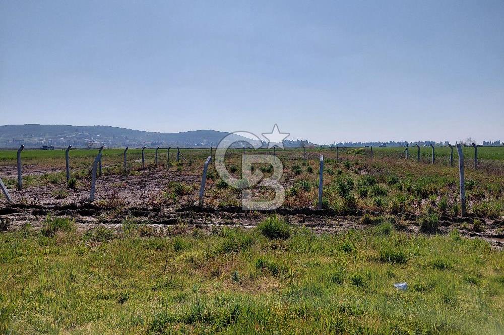 Foça Gerenköy’de Yola Yakın Merkezi Konumda Satılık Parsel