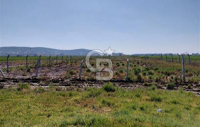 Foça Gerenköy’de Yola Yakın Merkezi Konumda Satılık Parsel