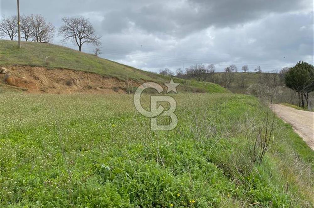 CB LEADER DAN SATILIK TARLA VE ARSA